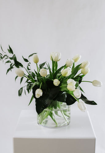 White Fresh Cut flowers 'En Masse'