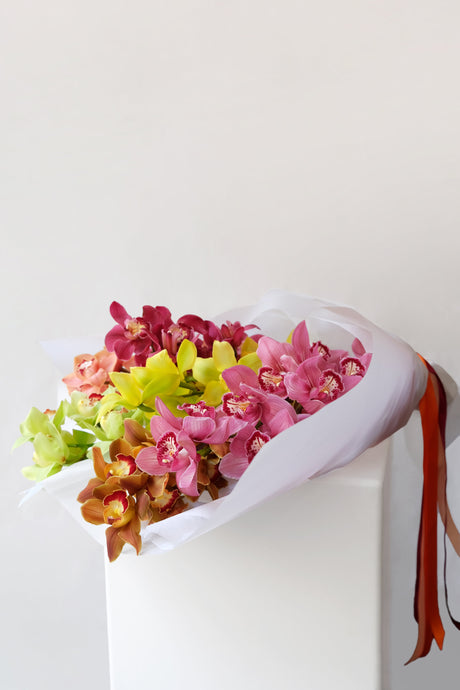 Cymbidium Orchids