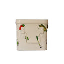 Seed and Storage Tin