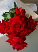 Valentine's Day~ Roses en Masse