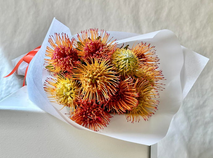 LOCAL LOVE~ Pin Cushions is