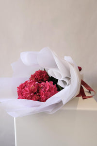 LOCAL LOVE~ Hydrangea