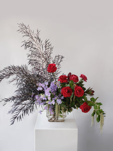 Winter Allure