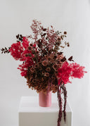 Jewel Everlasting Flowers