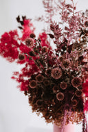 Jewel Everlasting Flowers