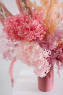 Pastel Everlasting Flowers