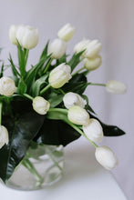 White Fresh Cut flowers 'En Masse'
