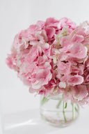 Pastel Fresh Cut Flowers 'En Masse'