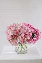 Pastel Fresh Cut flowers 'En Masse'