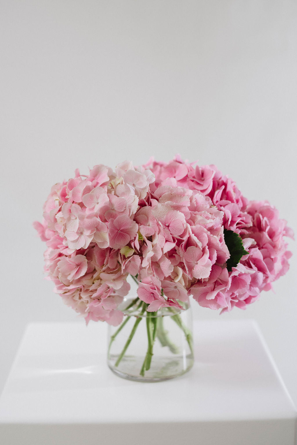 Pastel Fresh Cut flowers 'En Masse'
