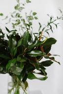 Locally Grown Foliage