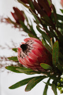 Earth Fresh Cut Flowers 'En Masse'