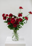 Jewel Fresh Cut Flowers 'En Masse'