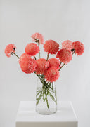 Bright Fresh Cut Flowers 'En Masse'